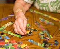 Lottery-puzzle-B.jpg