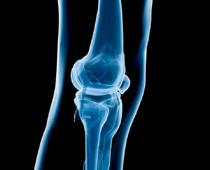 Magic-O-xray-B.jpg