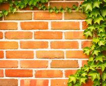 Materials-7-s.jpg