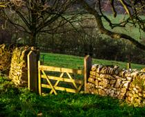 Meet-Gate-B.jpg