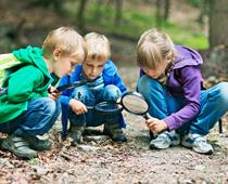 Minibeasts-10-s.jpg
