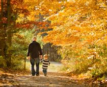 Month-Autumn-B.jpg