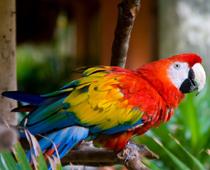 Name-Patricia-B.jpg