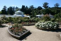 New-Zealand-B.jpg