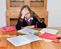 No-Homework-B.jpg