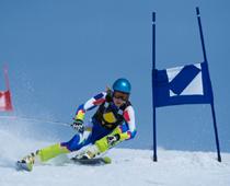 Nonsense-Skier-B.jpg