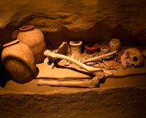 Occupation-archaeologist-B.jpg