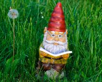 Once-Gnome-B.jpg