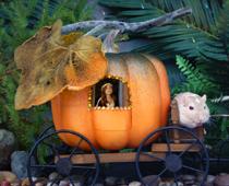 Once-Pumpkin-B.jpg
