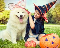 Ours-Dog-B.jpg