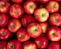 Over-Apple-B.jpg