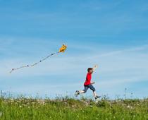 Own-Kite-B.jpg