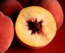 Peach-B.jpg