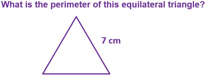 Perimeter(F)-Q9x.jpg