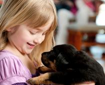 Pets-10-s.jpg