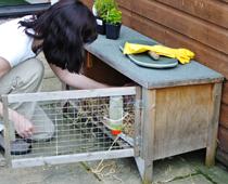 Pets-3-s.jpg