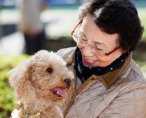 Pets-5-s.jpg