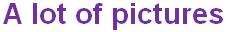 PictorialRepresentationOfData(F)-Q5a1.jpg
