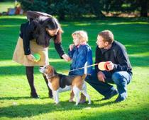 Play-leash-B.jpg