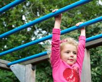 Play-monkeybars-B.jpg