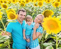 Pretty-Sunflower-B.jpg