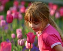Question-Flower-B.jpg