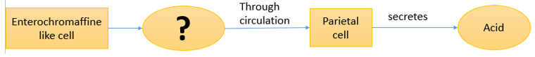 Questiondrug-pharmaceutical-biotechnology-questions-answers11.jpg