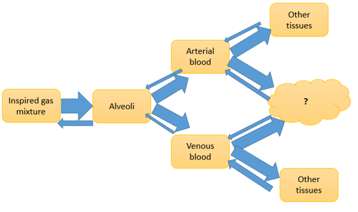 Questiondrug-pharmaceutical-biotechnology-questions-answers13.jpg
