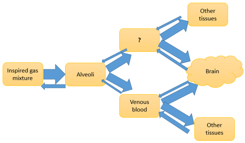 Questiondrug-pharmaceutical-biotechnology-questions-answers14.jpg