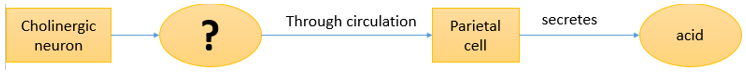 Questiondrug-pharmaceutical-biotechnology-questions-answers6.jpg