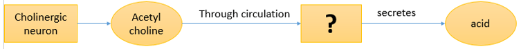 Questiondrug-pharmaceutical-biotechnology-questions-answers7.jpg
