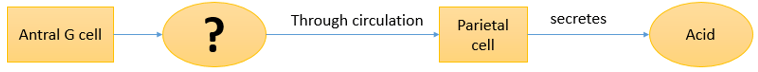 Questiondrug-pharmaceutical-biotechnology-questions-answers9.jpg