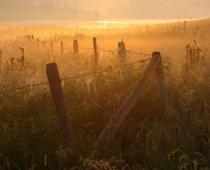 Raffle-fog-B.jpg