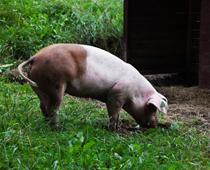 Recycling-5-s.jpg