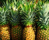 Rhyme-Pineapple-B.jpg