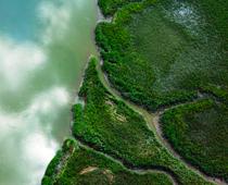 Rivers-10-s.jpg