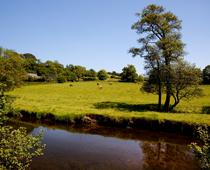 Rivers-3-s.jpg