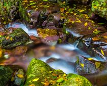 Rivers-4-s.jpg