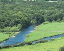 Rivers-5-s.jpg