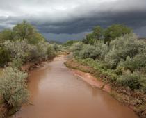 Rivers-Q6-Transportation-s.jpg