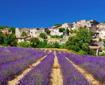 Say-France-B.jpg