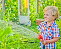 Say-Garden-B.jpg