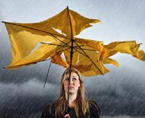 Say-Umbrella-B.jpg