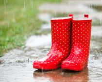 Seasons-and-Weather-5-s.jpg