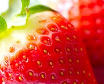 Seeds-and-Bulbs-2-s.jpg