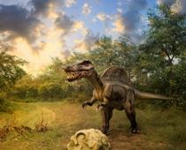 Sentence-Dinosaur-B.jpg