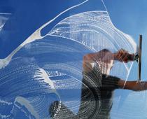 Shine-Window-B.jpg