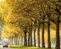 Shorten-Avenue-B.jpg