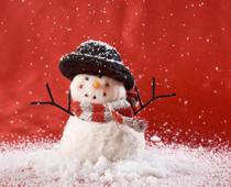 Snow-B.jpg