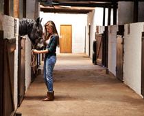 Speaking-Horse-B.jpg
